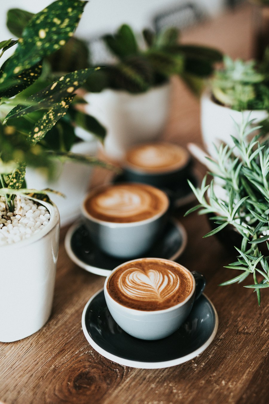 Lattes with heart latte art on a wooden table surrounded by green plants